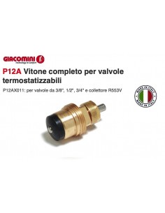 VITONE RICAMBIO GIACOMINI P12AX011