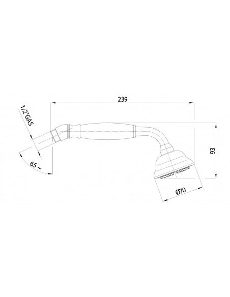 BOSSINI DUSCHBRAUSE CHARLESTON-GOM B01580