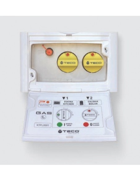 TECO COLLETTORE GAS K2.2 UNA ENTRATA DUE USCITE