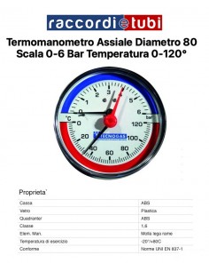 AXIALES THERMO-MANOMETER 0/6bar*0-120° DURCHMESSER 80