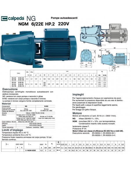 ELEKTROPUMPE CALPEDA HP.2 NGM 6/22E 220V SELBSTANSUGEND