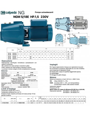 ELEKTROPUMPE CALPEDA HP.1,5 NGM 5/18E 220V...