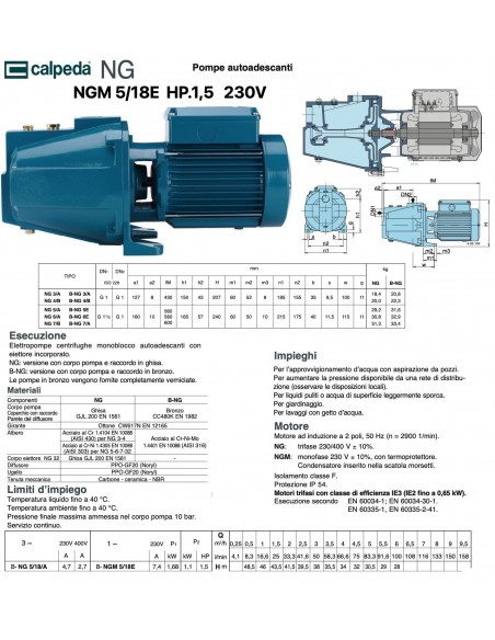 ELEKTROPUMPE CALPEDA HP.1,5 NGM 5/18E 220V SELBSTANSAUGEND