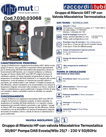 HP Nachspeisegruppe mit Thermostatmischventil 30/80° und Pumpe 703003068