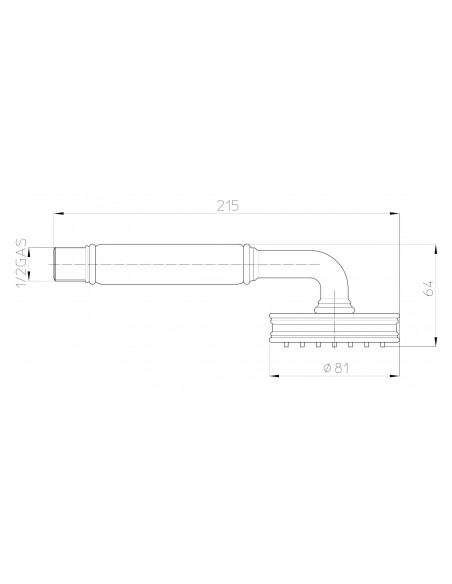 BOSSINI DUSCHBRAUSE DOCC.LIBERTY-GOM B00750
