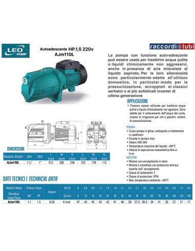 Elettropompa autoadescante Leo Pump AJm110L HP1,5