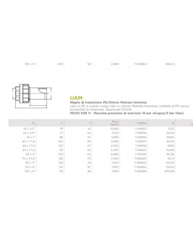 Übergangsanschluss PE/Messing Innengewinde 32X1"