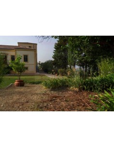 ALA GOCCIOLANTE IRRITEC NOCE  MT.50 2