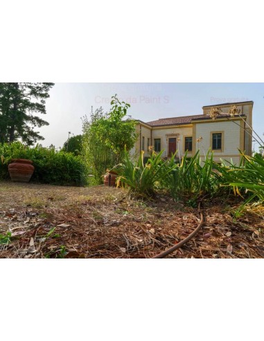 ALA GOCCIOLANTE IRRITEC NOCE  MT.50