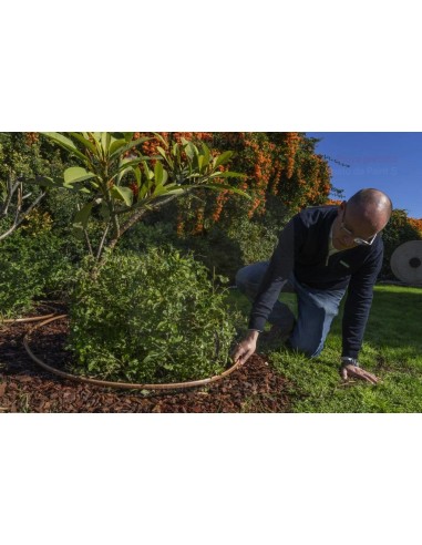 ALA GOCCIOLANTE IRRITEC NOCE  MT.50