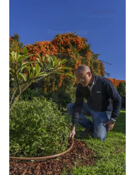 ALA GOCCIOLANTE IRRITEC NOCE  MT.50