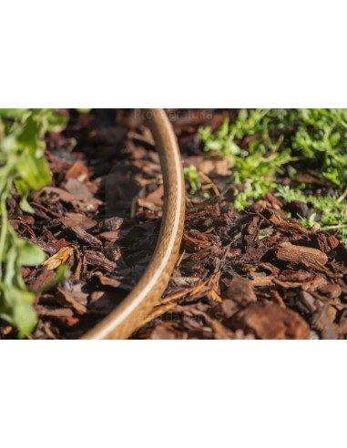 ALA GOCCIOLANTE IRRITEC NOCE  MT.50