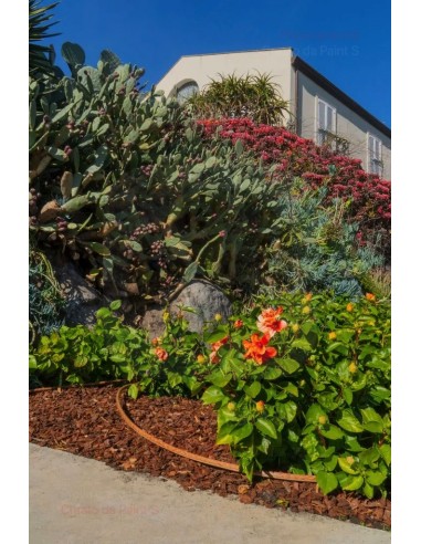 ALA GOCCIOLANTE IRRITEC NOCE  MT.50