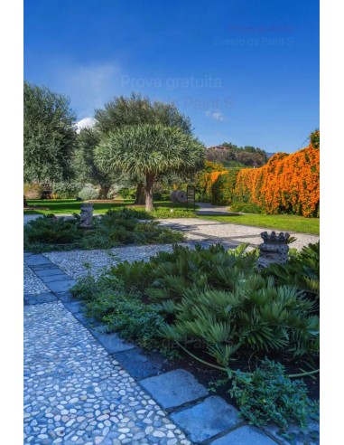 ALA GOCCIOLANTE IRRITEC BAMBU' MT.50