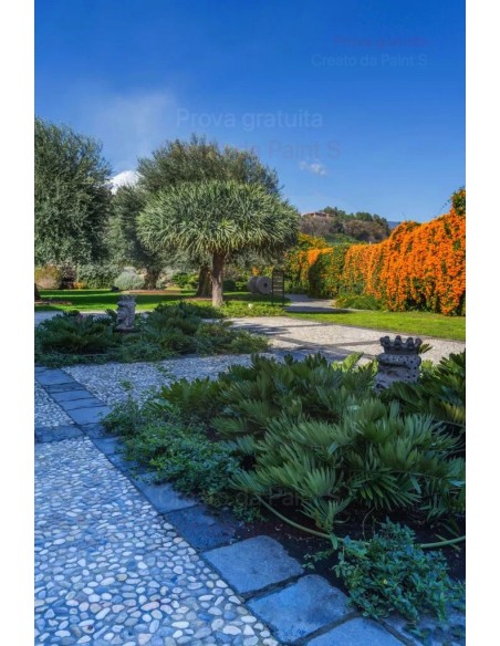 ALA GOCCIOLANTE IRRITEC BAMBU' MT.50