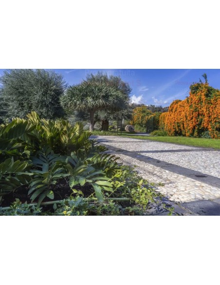 ALA GOCCIOLANTE IRRITEC BAMBU' MT.50