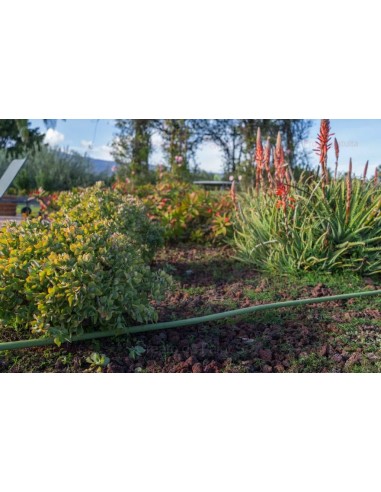 ALA GOCCIOLANTE IRRITEC BAMBU' MT.50