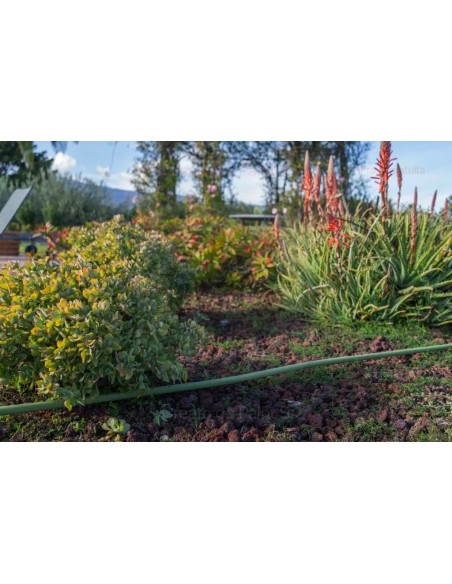 ALA GOCCIOLANTE IRRITEC BAMBU' MT.50