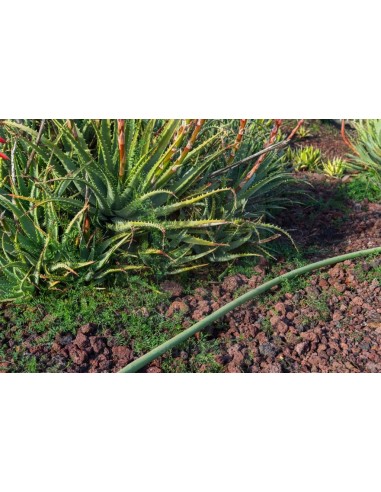 ALA GOCCIOLANTE IRRITEC BAMBU' MT.50