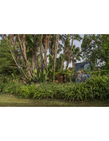 ALA GOCCIOLANTE IRRITEC BAMBU' MT.50