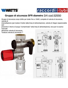 GRUPPO DI SICUREZZA WATTS 3/4 52550