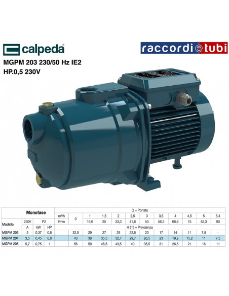 ELETTROPOMPA CALPEDA MGPM 203 HP.0,5 230V. MULTIGIRANTE