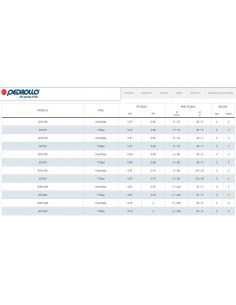 ELETTROPOMPA  PEDROLLO 3CPm80C 230V 2