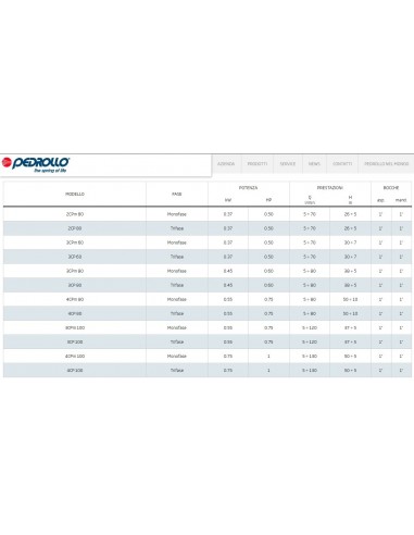 ELETTROPOMPA PEDROLLO 4CPm80C 230V