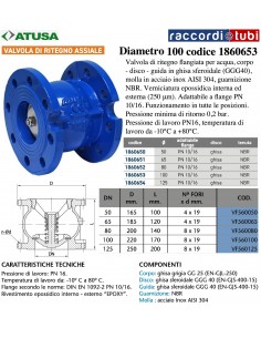 VALVOLA RITEGNO ASSIALE DN 100 PN10-16 DISCO IN GHISA