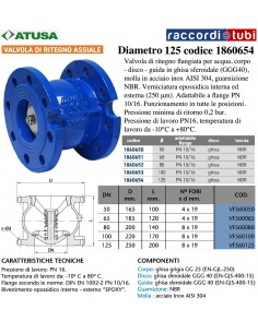 VALVOLA RITEGNO ASSIALE DN 125 PN10-16 DISCO IN GHISA