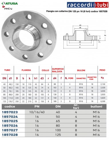 FLANGI A A COLLARINO D.125 PN 16  (8 fori