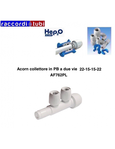 COLL.ACORN DUE WEG 22-15-15-22