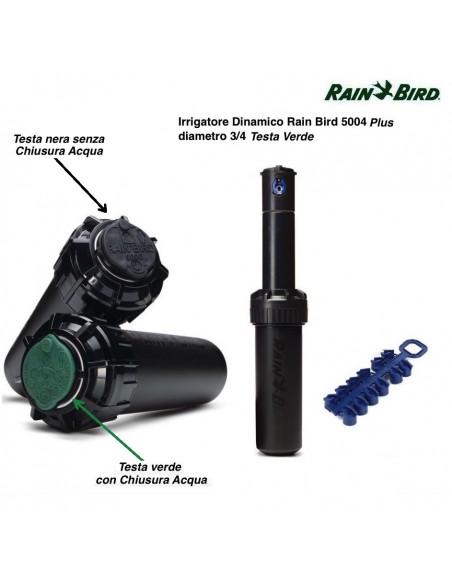 DYNAMISCHER RAIN BIRD 5004 PLUS-PC SPRINKLER MIT ABSCHALTVENTIL