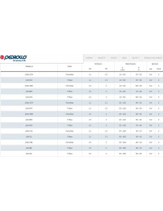ELETTROPOMPA  PEDROLLO AUTOADESCANTE JSW3AL 380V 2