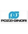 POZZI GINORI